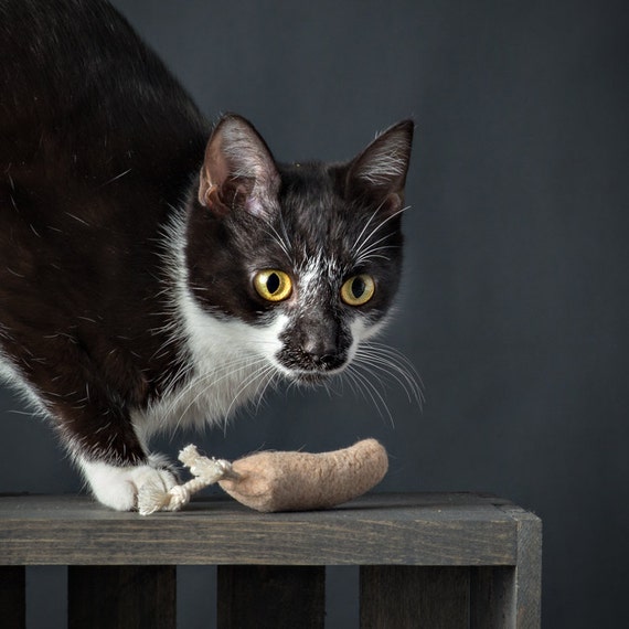 catnip carrot cat toy