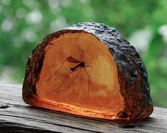 Jurassic World Mosquito in Amber Slice life size Replica