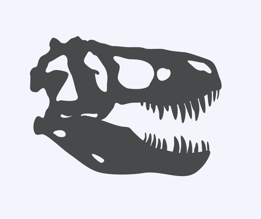 t rex head skull