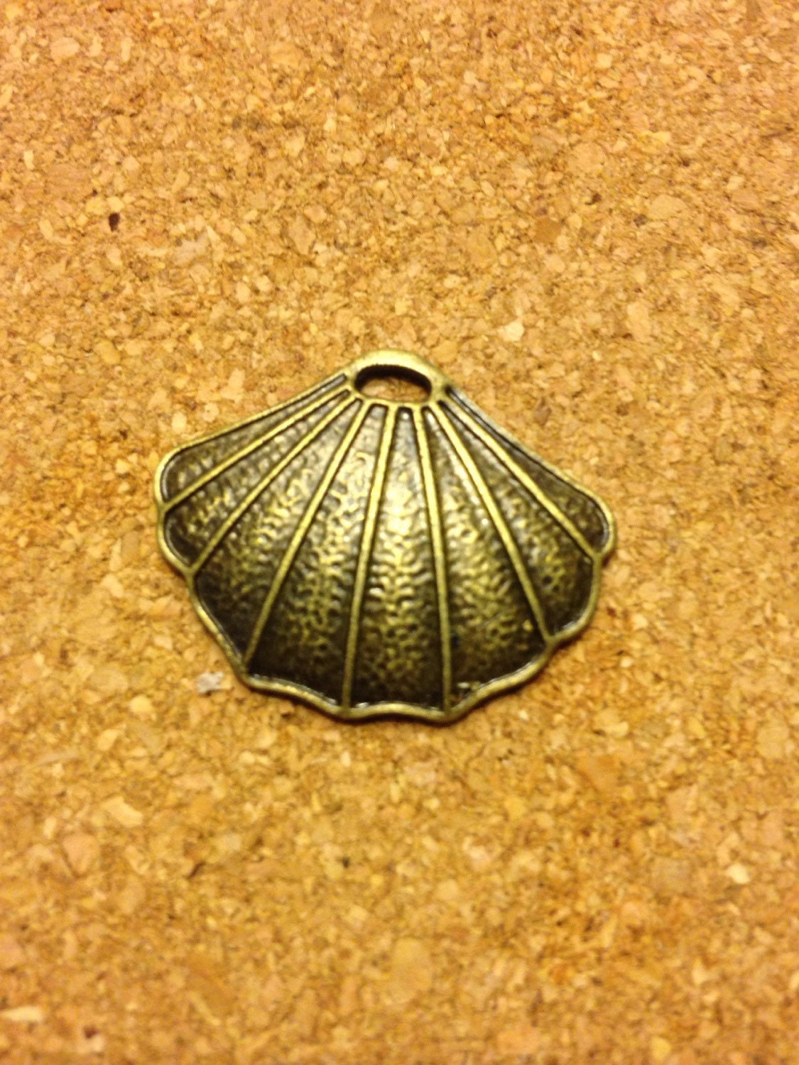 scallop-shell-symbol-of-the-camino-pilgrimage-to-santiago-de