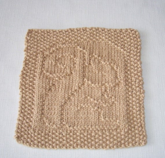 Dishcloth Washcloth Fall Colors and Design Squirrel Hand