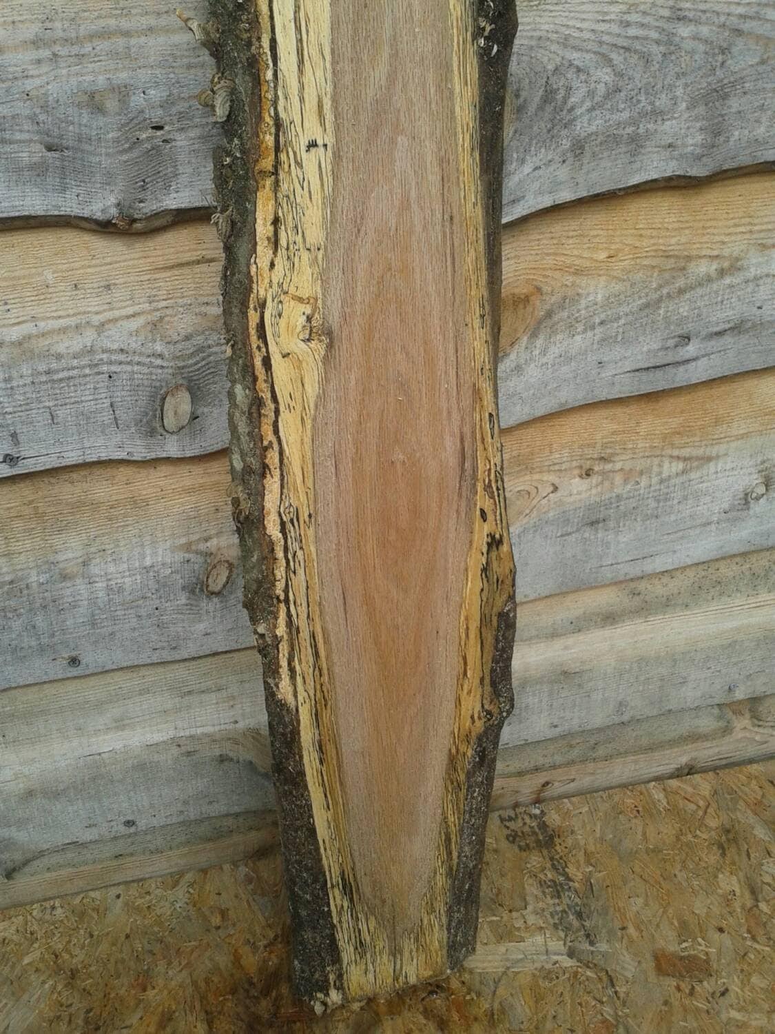 Beautiful spalted live edge red oak slab by TarheelCustomWood