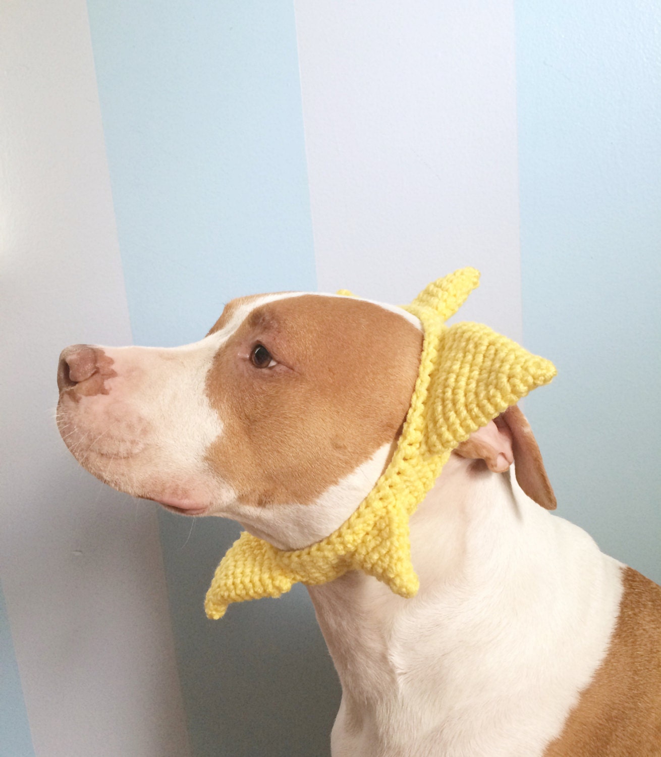 Dog Sunshine Hat Crochet Dog Headband Dog Sun Costume