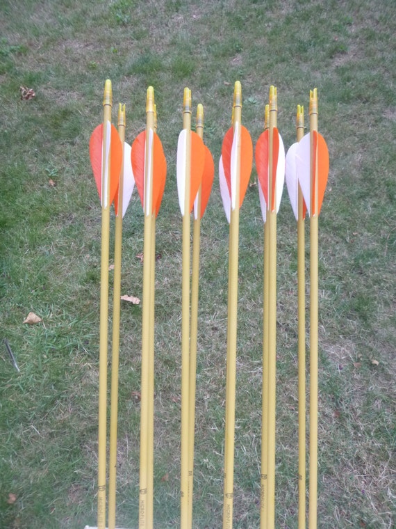 Micro Flight 1 archery arrows dozen arrow set by WarpathArchery