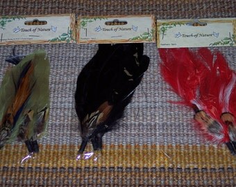 Feather picks,ass't colors,hat embellishment,costumes,fascinators,crafts