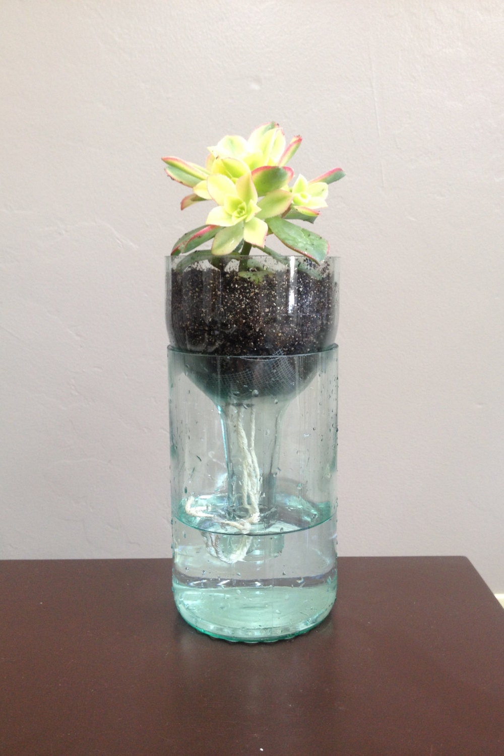 Wine Bottle Self Watering Succulent Planters by PioneerRoadPottery