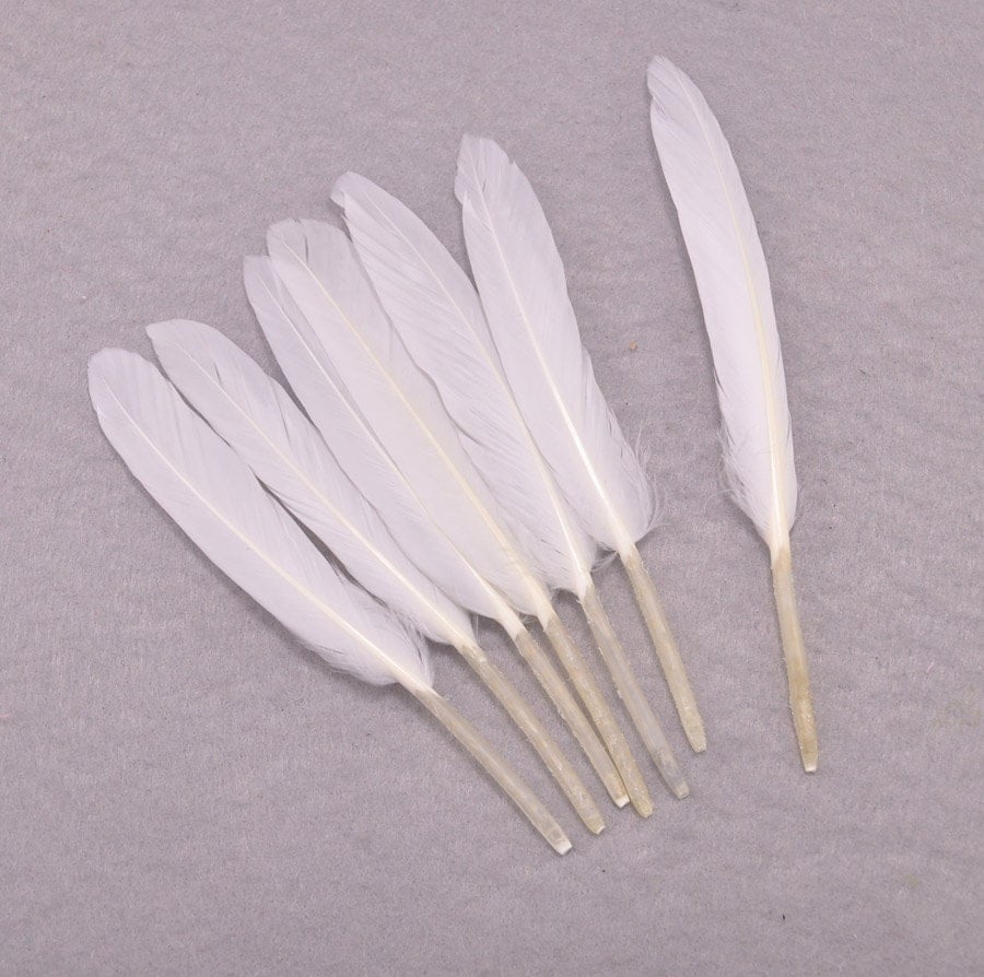 FeathersWhite Duck Feathers 50pcs White Craft Feathers