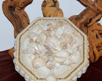 White and Cream Colored Sea Shell Encrusted Vintage Jewelry Box