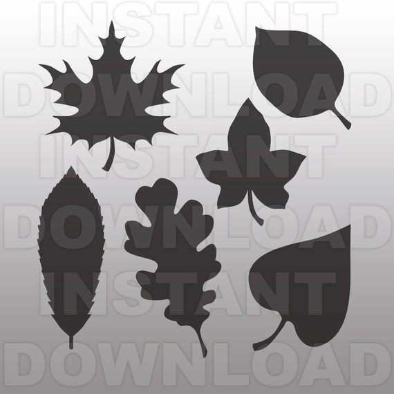Download Leaf Fall Leaves SVG FIle, cricut svg, silhouette svg, svg ...