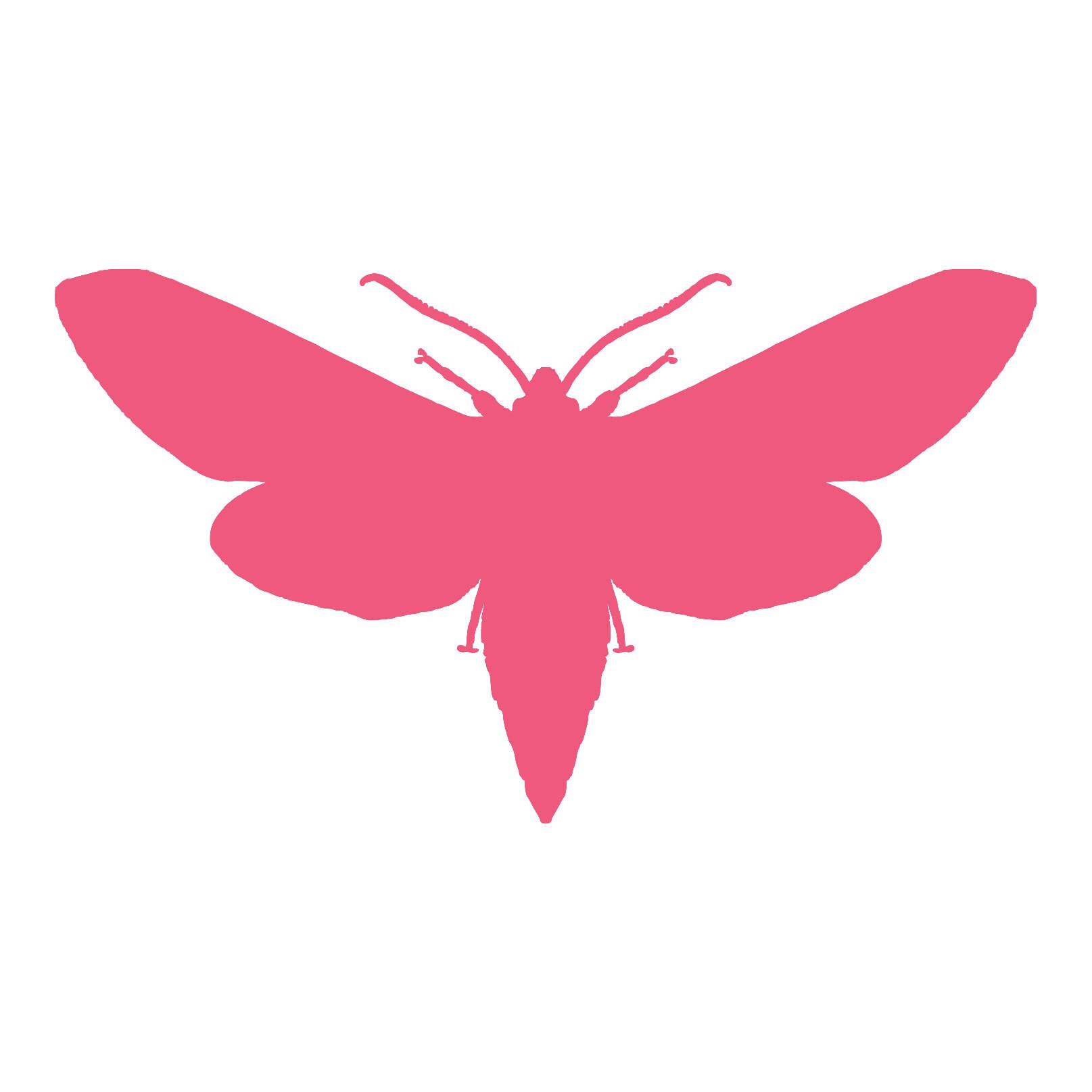 Strawberry Moth by strawberrymoth on Etsy