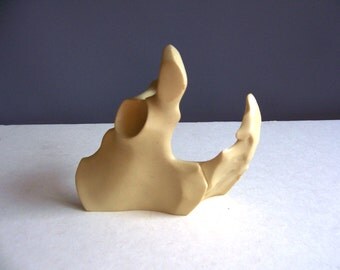1970s fake hip bone from medical model Merck plastic model