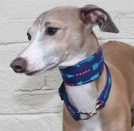 Archer Italian Greyhound Collar Navy and by Shadedmoon on Etsy