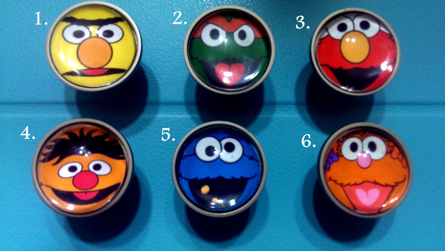 Sesame Street Knobs / Bedroom Dresser Knobs / Nursery Drawer