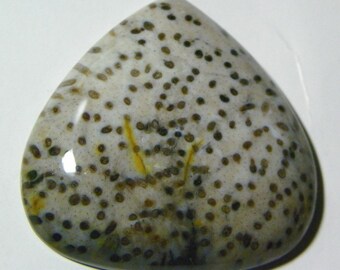 Fossilized Palm Wood Designer Cabochon (D-021)