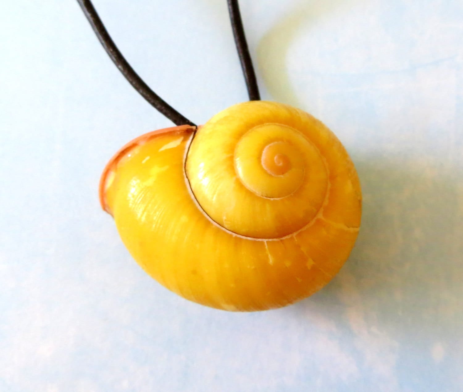 Ursula Shell Necklace Yellow Gold Natural Snail Pendant