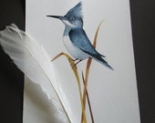 Kingfisher illustration-original bird painting- original watercolor illustration-kids art-original bird illustration-bird illustration