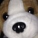 Vix Vix