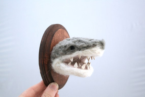 Great White Shark (Carcharodon carcharias)