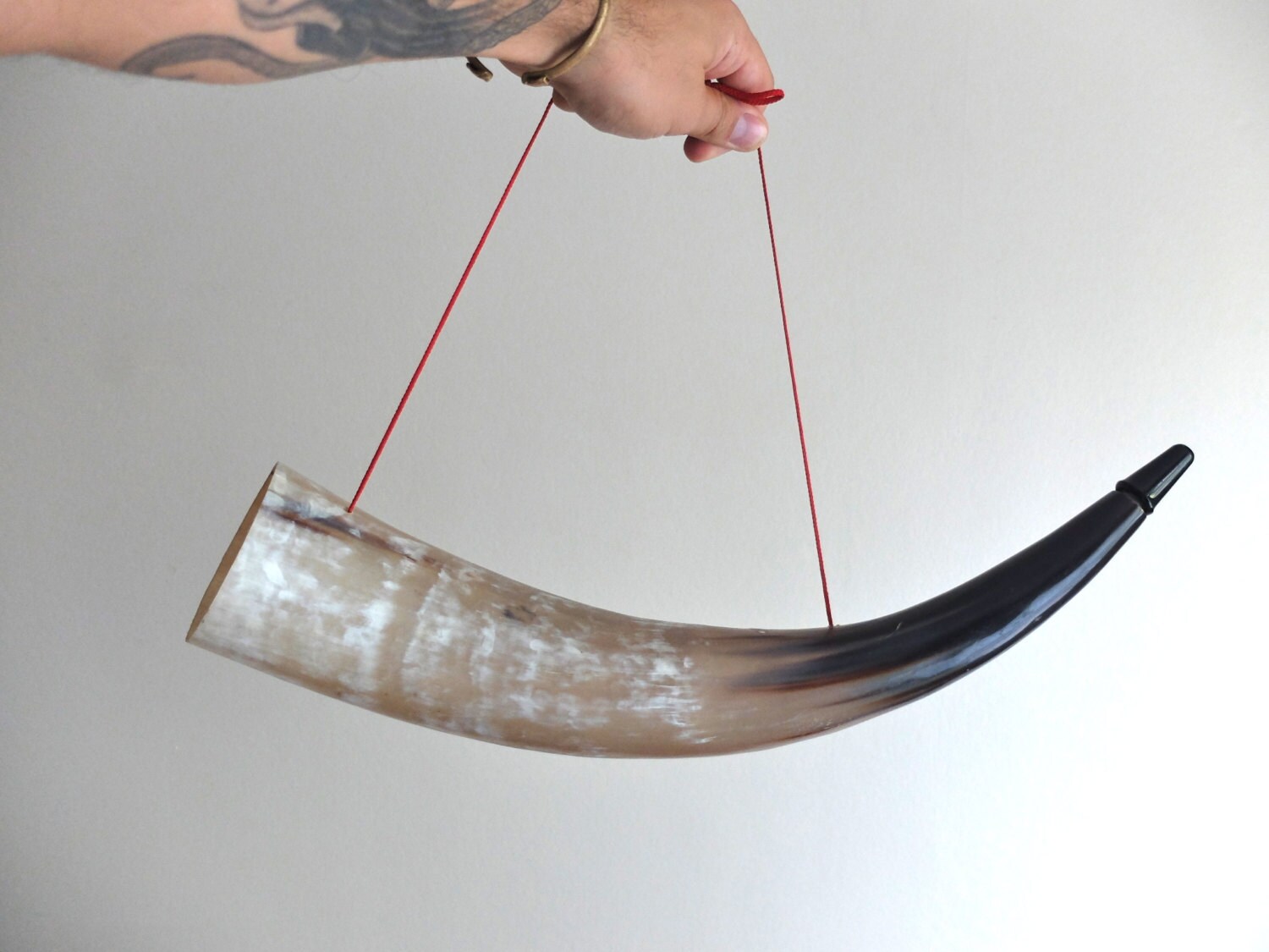 Vintage cow horn bull trumpet