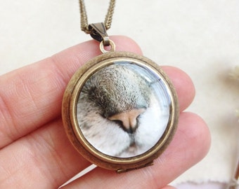 Kitty Cat Locket - Cat Nose Up Close - Purr - Fine Art Photography Necklace