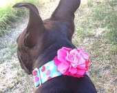 Dog Collar Flower bow, Pink Ombre, Beautiful Jersey flower, attaches with VELCRO® Dog Collar Flower bow, Pink Ombre, Beautiful Jersey flower, attaches with VELCRO®