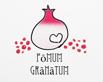 Pomum granatum (or the humble Pomegranate), Mediterranean, Wall Print, Home Art, Red Fruit