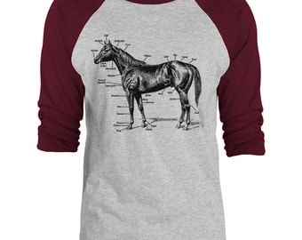 Mintage Anatomy of a Horse Unisex 3/4-Sleeve Raglan Baseball T-Shirt