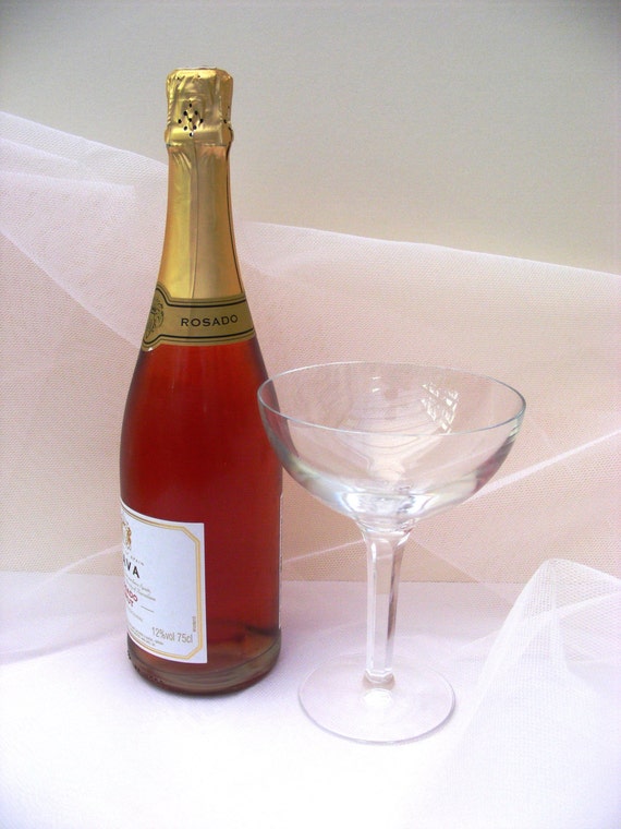 Extra large champagne coupe glass