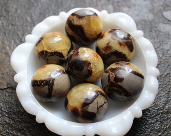 Septarian Nodule- Dragon Stone- Pebble