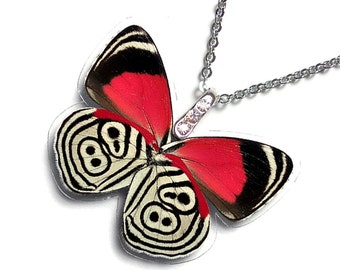 Real Butterfly Wing Necklace / Pendant (Whole Diaethria Clymena aka The 88 Butterfly - W043)