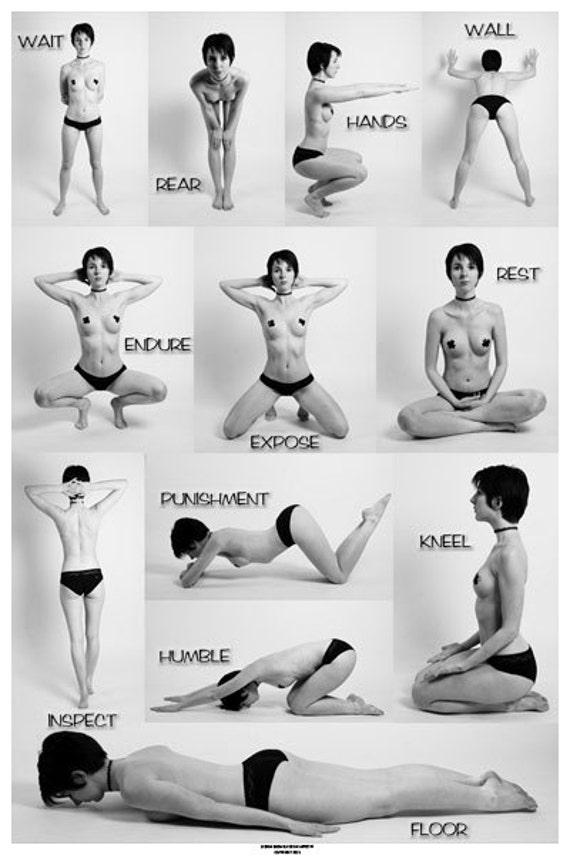 sexual position chart