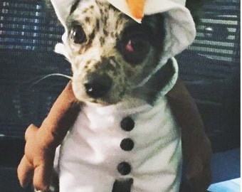 Disney Inspired Olaf Costume, Disney Inspired Olaf Dog Costume