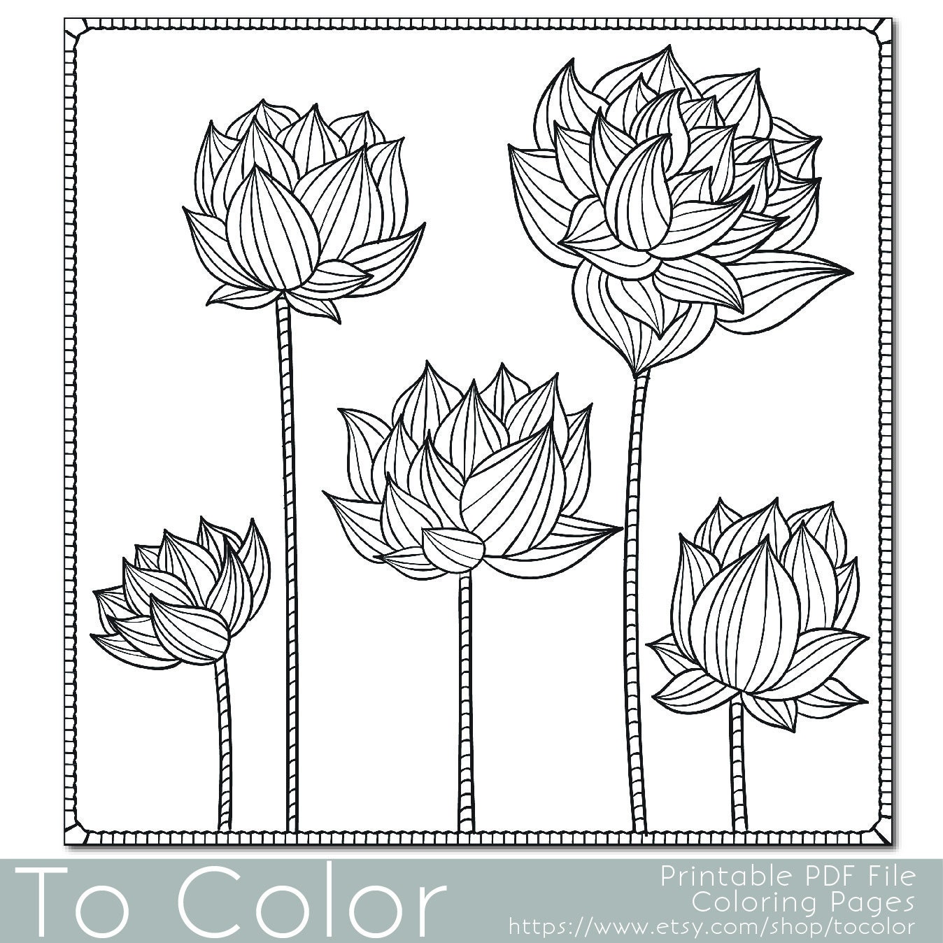 Floral Lotus Flower Coloring Page for Adults PDF / JPG by ...