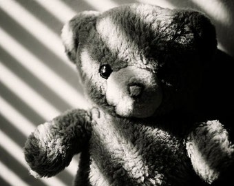 Support Education - Teddy Bear - Still Life/Modern Art - Photography ...