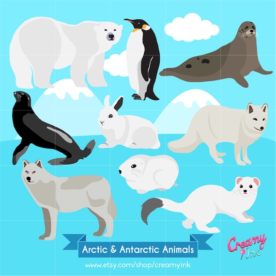 free clip art arctic animals - photo #19