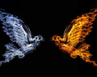 Twin Flame Question Psychic Reading Same Day Email OR Within 24 Hours In PDF Format