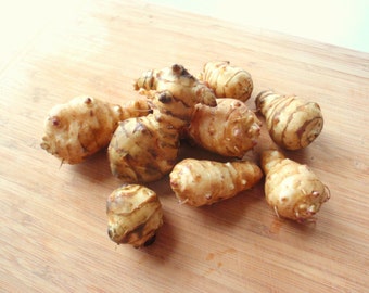 Jerusalem Artichoke - Organic Individual Tubers For Planting - AKA Sunchokes, Sunroot or Jerusalem Artichokes - Bitcoin Accepted!