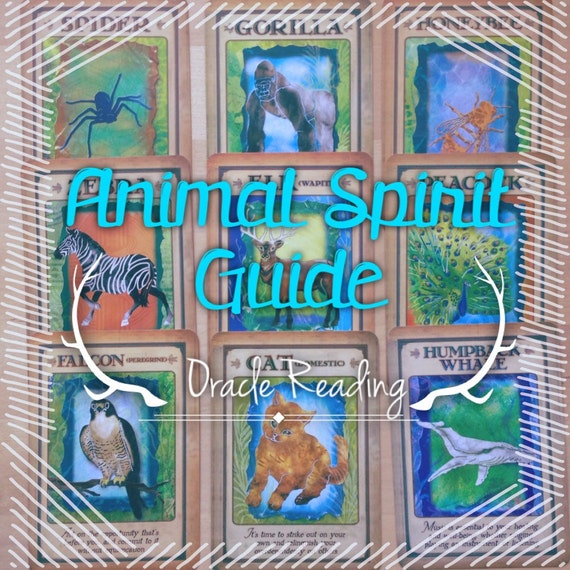 Animal Spirit Guide Oracle Reading Tarot