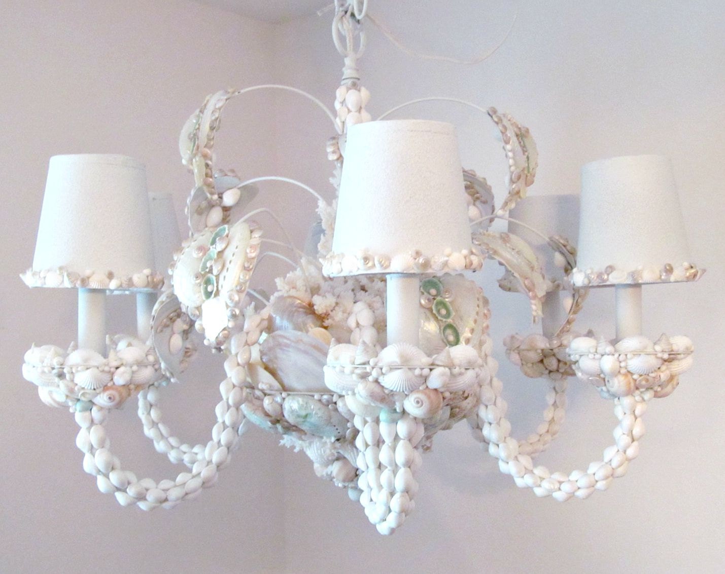 Seashell Chandelier Lighting seashell chandelier chandelier lighting shell Seashell Chandelier Lighting seashell chandelier chandelier lighting shell