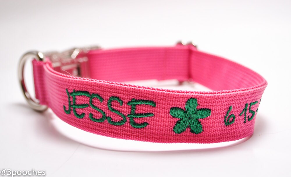 Metal Buckle Personalized Custom Dog Collar with Image