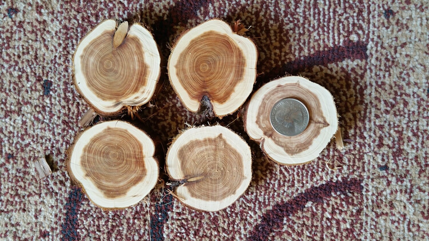 cedar slices, cedar rounds wood for weddings, crafts, home decor from