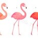 black and white flamingo name tags
