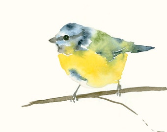 Bird Art Print Blue Tit