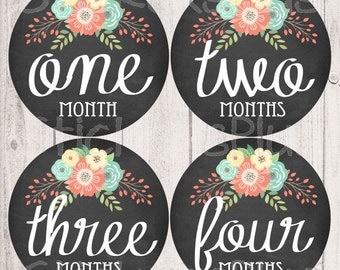 Baby Girl Month Stickers Monthly Baby Stickers, Milestone Baby Month Stickers, Monthly Bodysuit Vintage Floral Chalkboard Chalk Shabby Chic