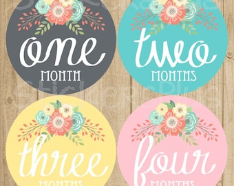 Baby Girl Month Stickers Monthly Baby Stickers, Baby Month Stickers, Monthly Bodysuit Vintage Floral Shabby Grey Pink Turquoise Yellow