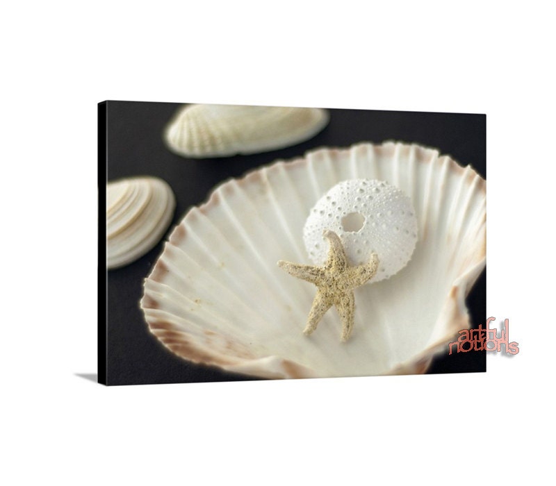 Seashell Art Bathroom Wall Decor Beige And Black Starfish