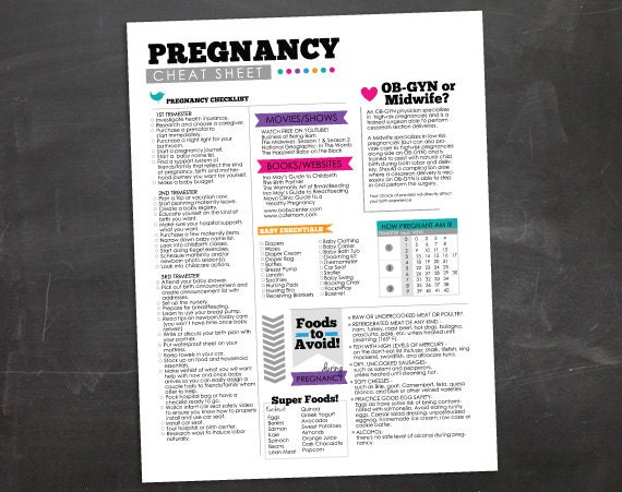 Pregnancy Cheat Sheet Baby Pregnancy Checklist Infographic Informational Printable PDF