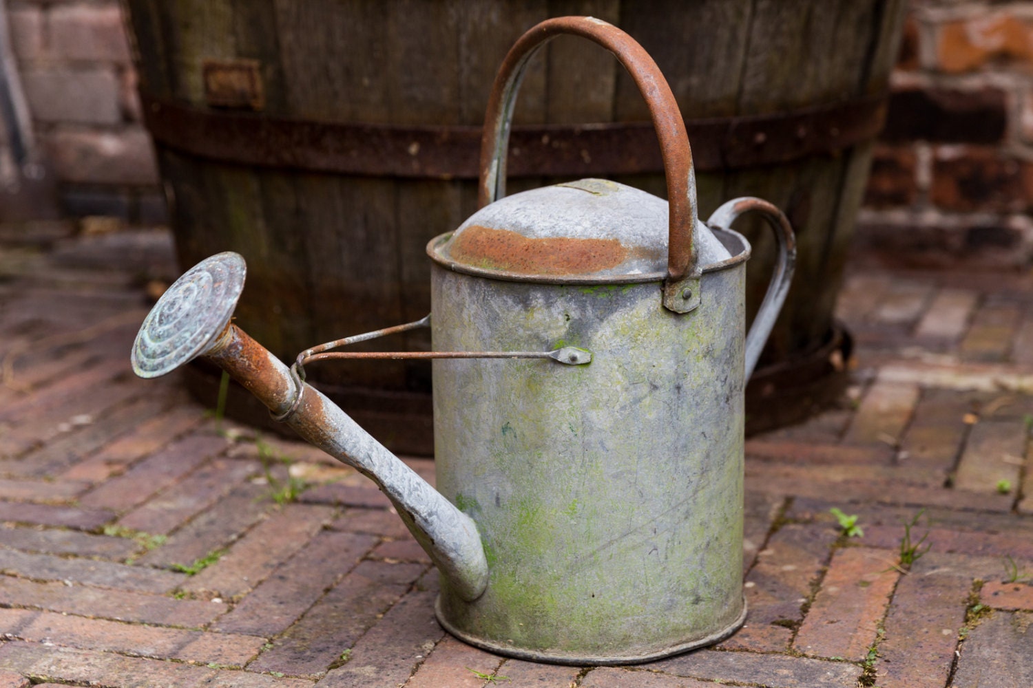 Rustic Watering Cans 2