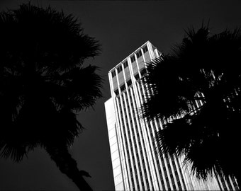 L.A. Nights: Print Framed and Unframed