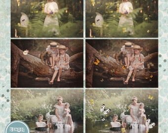 Butterfly Photo Overlays, Butterfly Photography Overlays, Photo Overlays - INSTANT DOWNLOAD